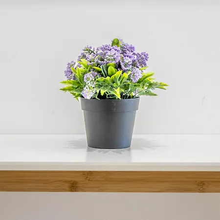 Appartement Floor Penthouse With Views - By Solea *