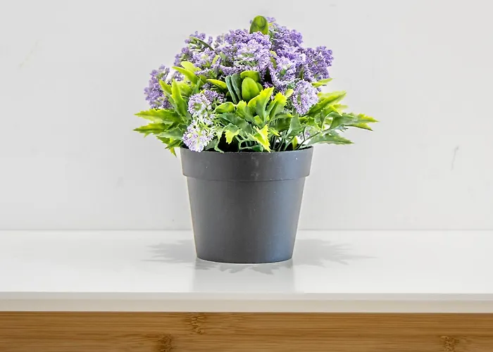 Apartment Floor Penthouse With Views - By Solea *